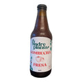 Madre Planta Kombucha Fresa 350 ml